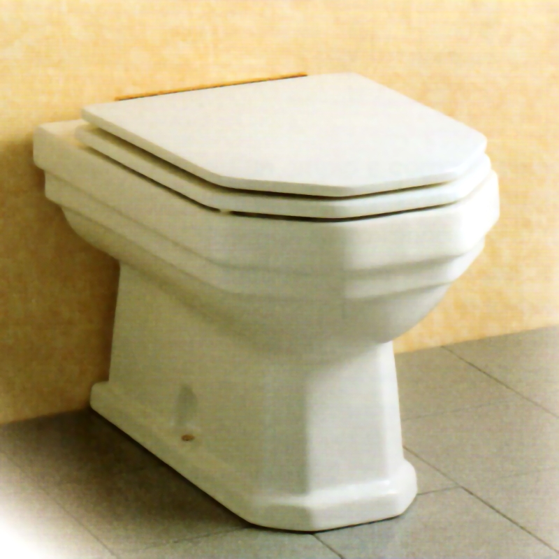 Comment installer un siège de toilettes 🚽🔧. La procédure complète  expliquée par l'équipe de Sintesibagno - Dettaglio Notizia 