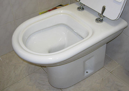 Toilet seat toilet Pearl NEW economic Replacement dedicated. dolomite 
