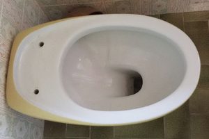 Abattant WC SCULTURE HATRIA compatible laqué blanc brillant polyester 